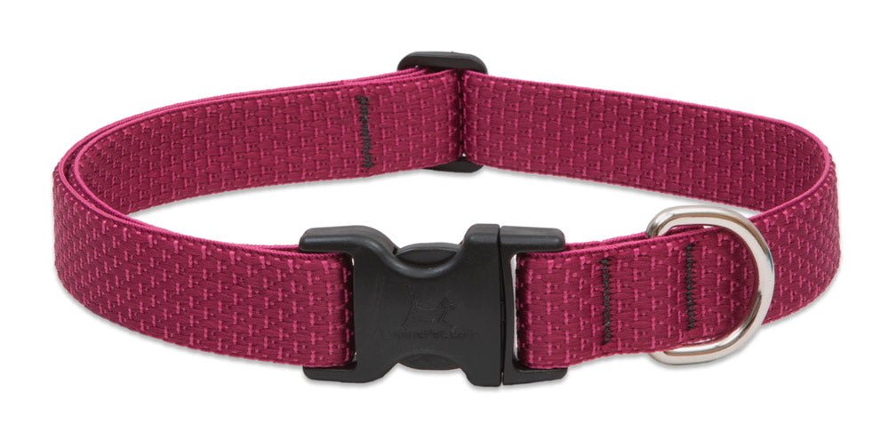 Lupine ECO Collars - SnowPaw Store - Lupine - Dog Collars, Leads, Belts